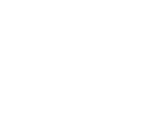 Aikon Sports logo