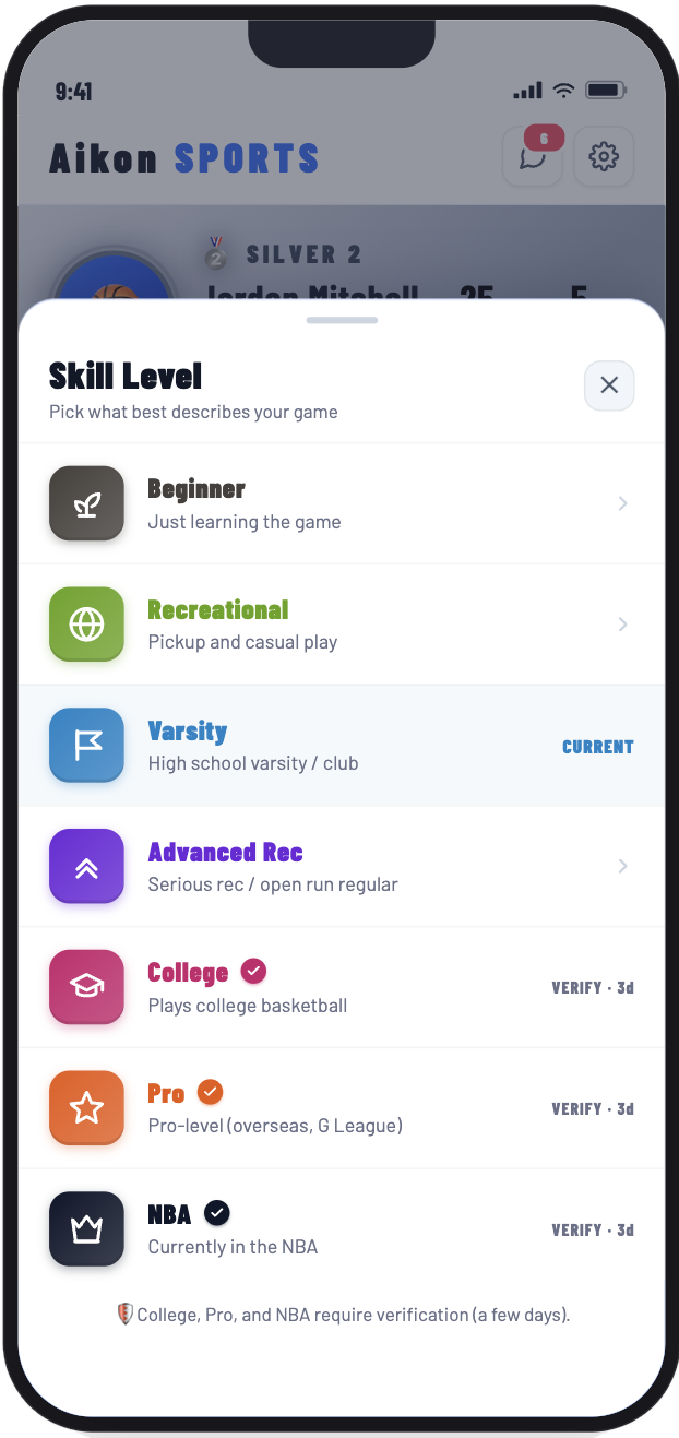 Aikon skill level screen
